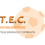 Escudo de TEC