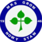 Escudo de Grom Nowy Staw