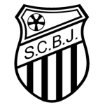 Escudo de Bom Jesus EC