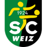 Escudo de Weiz