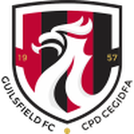 Escudo de Guilsfield