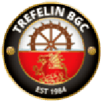 Escudo de Trefelin