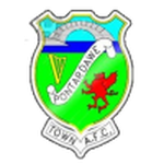 Escudo de Pontardawe Town